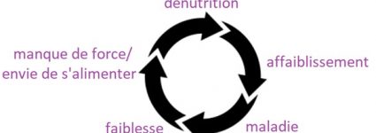 Cycle de dénutrition